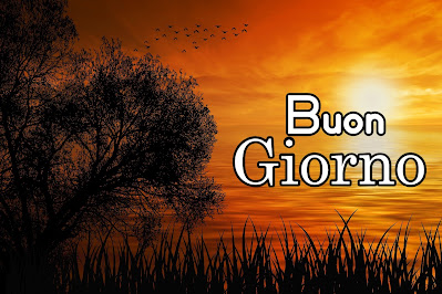 divertente meraviglioso divertente buongiorno immagini recenti