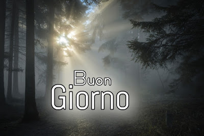 divertente meraviglioso divertente buongiorno immagini recenti