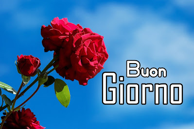 divertente meraviglioso divertente buongiorno immagini recenti