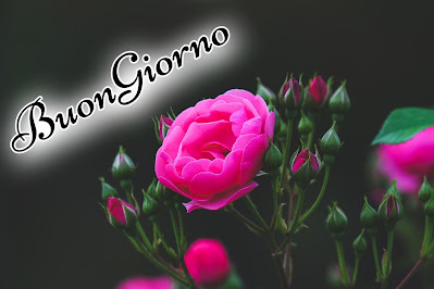 divertente meraviglioso divertente buongiorno immagini recenti