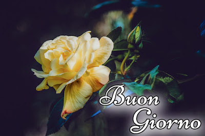divertente meraviglioso divertente buongiorno immagini recenti