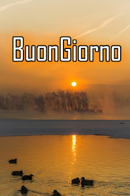 divertente meraviglioso divertente buongiorno immagini recenti