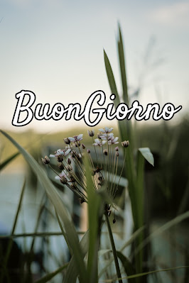 divertente meraviglioso divertente buongiorno immagini recenti