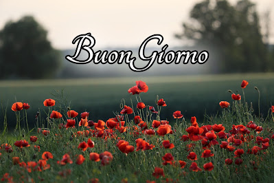 divertente meraviglioso divertente buongiorno immagini recenti