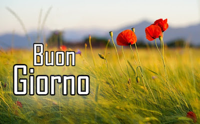 divertente meraviglioso divertente buongiorno immagini recenti