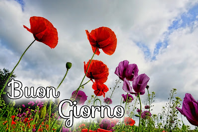 divertente meraviglioso divertente buongiorno immagini recenti