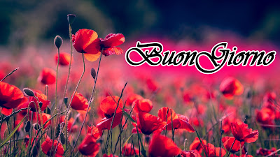 divertente meraviglioso divertente buongiorno immagini recenti