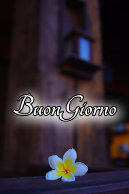 divertente meraviglioso divertente buongiorno immagini recenti