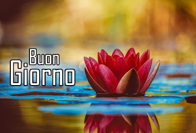 divertente meraviglioso divertente buongiorno immagini recenti