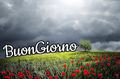 divertente meraviglioso divertente buongiorno immagini recenti