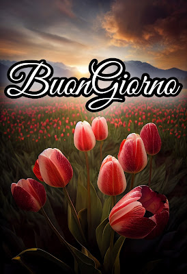 divertente spiritoso buon risveglio buongiorno immagini recenti2010 Divertente Spiritoso Buon Risveglio Buongiorno Immagini Recenti
