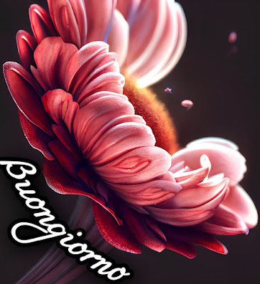 divertente spiritoso buon risveglio buongiorno immagini recenti2015 Divertente Spiritoso Buon Risveglio Buongiorno Immagini Recenti