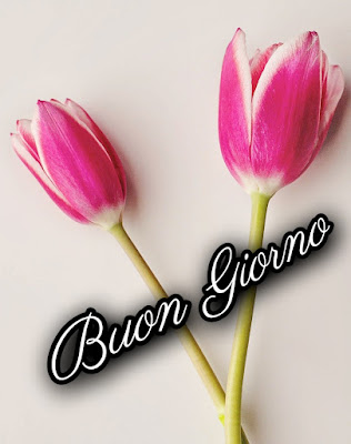 divertente spiritoso buon risveglio buongiorno immagini recenti2019 Divertente Spiritoso Buon Risveglio Buongiorno Immagini Recenti