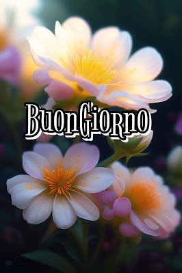 divertente spiritoso buon risveglio buongiorno immagini recenti202 Divertente Spiritoso Buon Risveglio Buongiorno Immagini Recenti