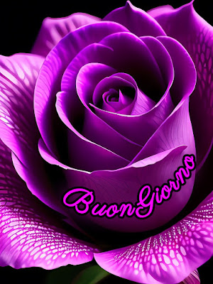 divertente spiritoso buon risveglio buongiorno immagini recenti2024 Divertente Spiritoso Buon Risveglio Buongiorno Immagini Recenti