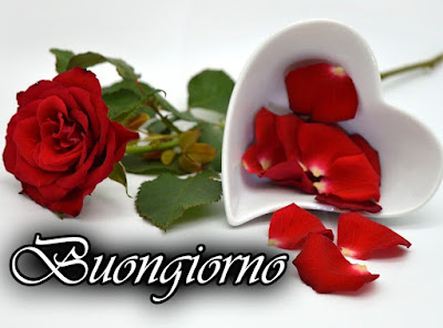 divertente spiritoso buon risveglio buongiorno immagini recenti2027 Divertente Spiritoso Buon Risveglio Buongiorno Immagini Recenti