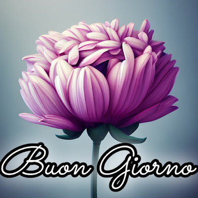 divertente spiritoso buon risveglio buongiorno immagini recenti2034 Divertente Spiritoso Buon Risveglio Buongiorno Immagini Recenti