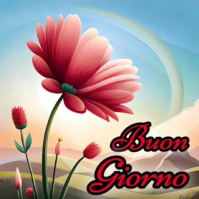 divertente spiritoso buon risveglio buongiorno immagini recenti2040 Divertente Spiritoso Buon Risveglio Buongiorno Immagini Recenti