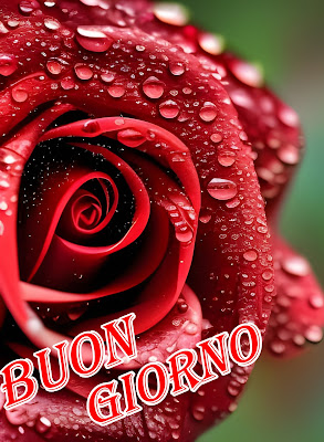 divertente spiritoso buon risveglio buongiorno immagini recenti2045 Divertente Spiritoso Buon Risveglio Buongiorno Immagini Recenti