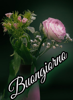 divertente spiritoso buon risveglio buongiorno immagini recenti207 Divertente Spiritoso Buon Risveglio Buongiorno Immagini Recenti