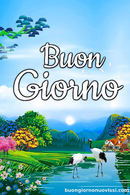 divertente meraviglioso divertente buongiorno immagini recenti