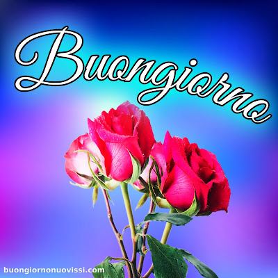 divertente meraviglioso divertente buongiorno immagini recenti