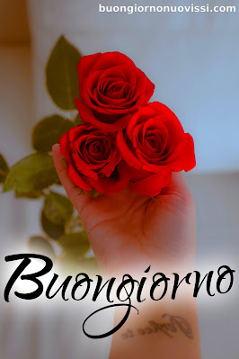 divertente meraviglioso divertente buongiorno immagini recenti