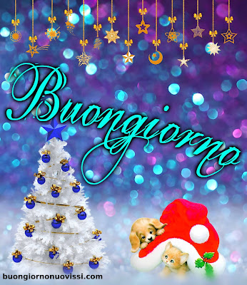 divertente meraviglioso divertente buongiorno immagini recenti