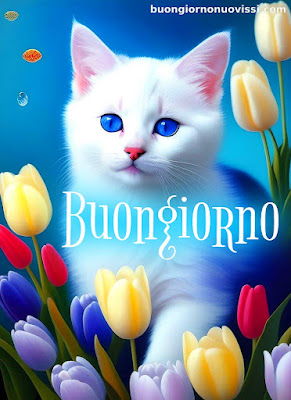 divertente meraviglioso divertente buongiorno immagini recenti