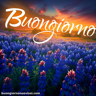 divertente meraviglioso divertente buongiorno immagini recenti