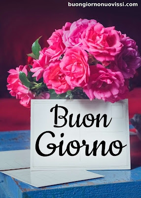 divertente meraviglioso divertente buongiorno immagini recenti