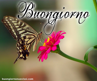 divertente meraviglioso divertente buongiorno immagini recenti