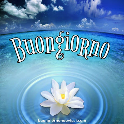 divertente meraviglioso divertente buongiorno immagini recenti