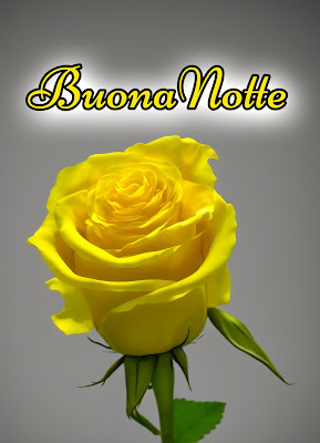 divertenti nuovissimo originale nuovissimo buonanotte immagini recenti