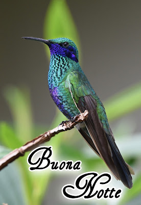 divertenti nuovissimo originale nuovissimo buonanotte immagini recenti