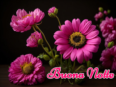 divertenti nuovissimo originale nuovissimo buonanotte immagini recenti