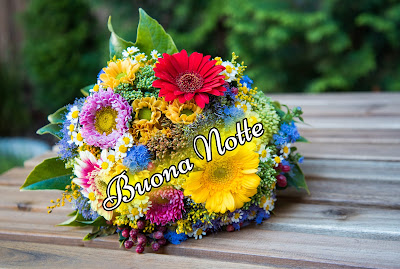 divertenti nuovissimo originale nuovissimo buonanotte immagini recenti