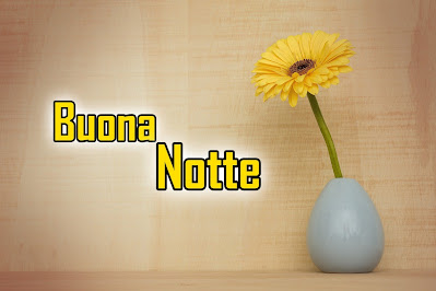 divertenti nuovissimo originale nuovissimo buonanotte immagini recenti