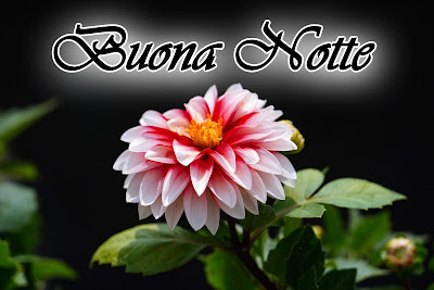 divertenti nuovissimo originale nuovissimo buonanotte immagini recenti