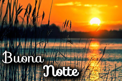 divertenti nuovissimo originale nuovissimo buonanotte immagini recenti