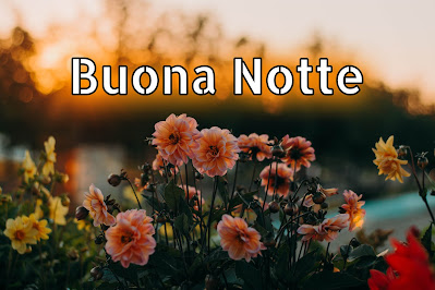 divertenti nuovissimo originale nuovissimo buonanotte immagini recenti