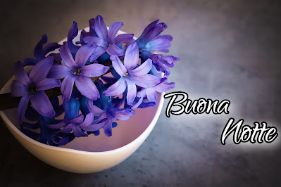 divertenti nuovissimo originale nuovissimo buonanotte immagini recenti