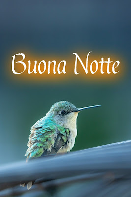 divertenti nuovissimo originale nuovissimo buonanotte immagini recenti