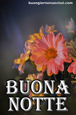 dolce buonanotte immagini recenti