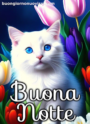 dolce buonanotte immagini recenti