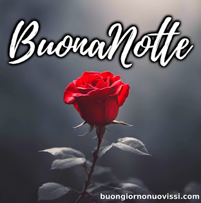 dolce buonanotte immagini recenti