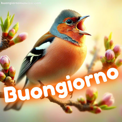 foto buongiorno foto buongiorno