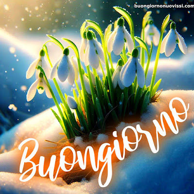 foto buongiorno foto buongiorno