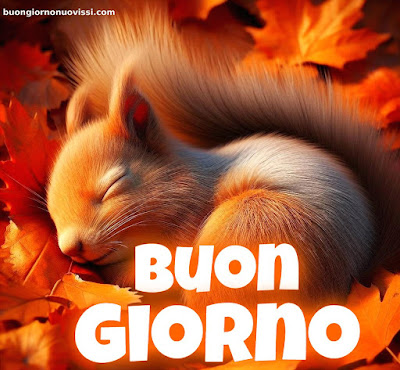 foto buongiorno foto buongiorno