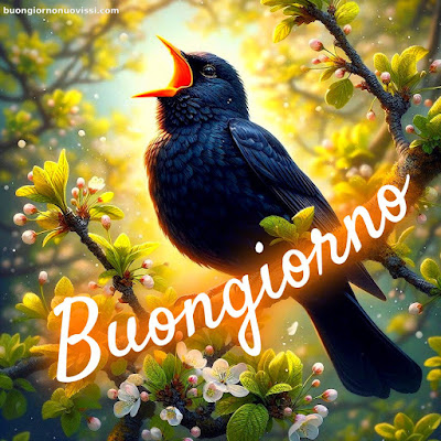 foto buongiorno foto buongiorno